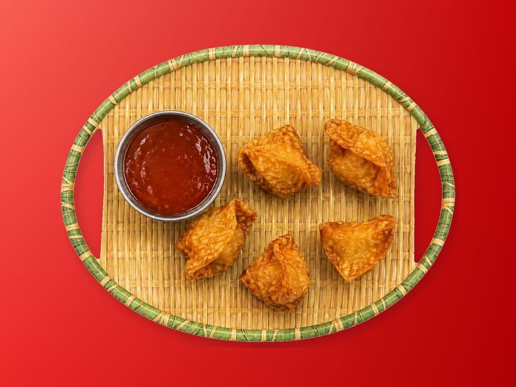 Wonton frits (5)