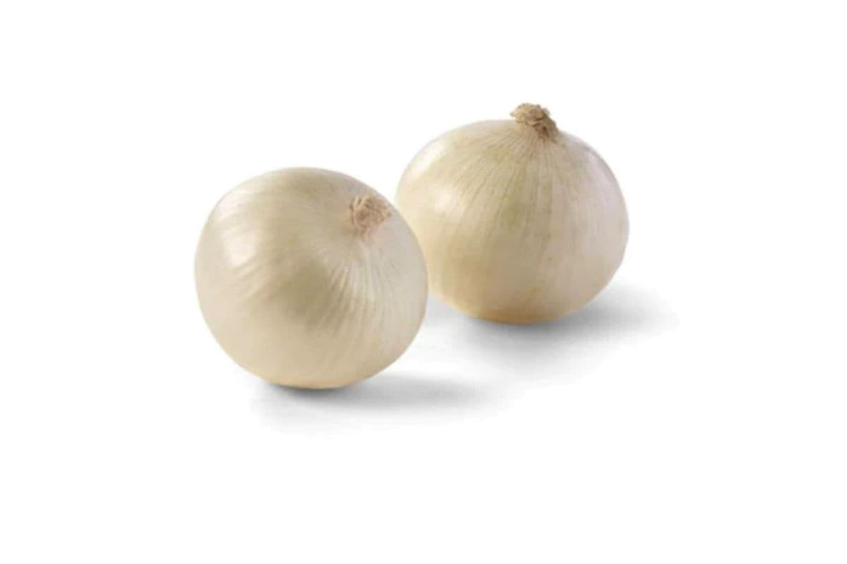 Large White Onion
