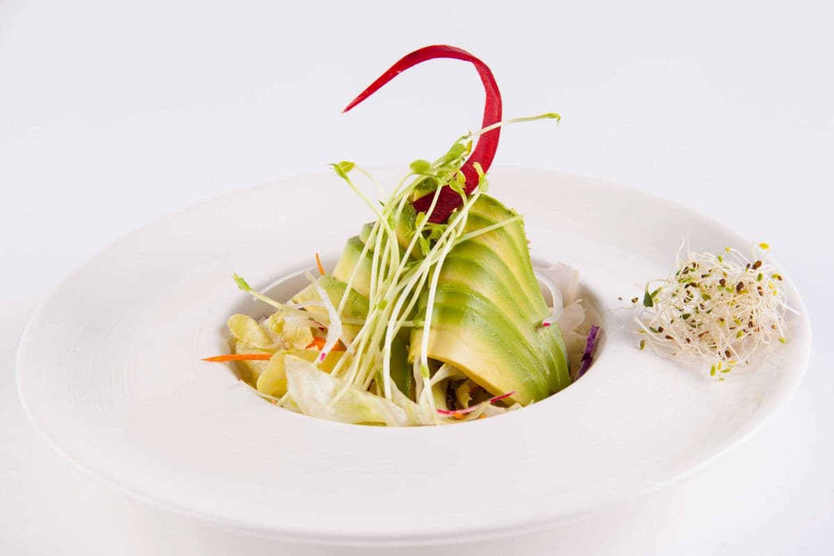 Avocado Salad