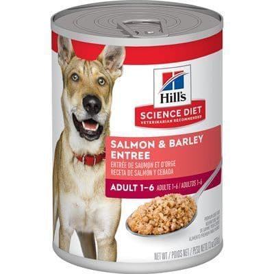 Hill's Science Diet Dog Salmon & Barley Entree Dog Food 13 oz