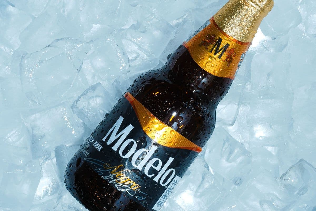 Negra Modelo (1 x 355 ml)