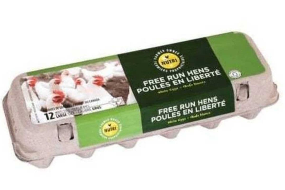 Nutri · Free Run Large White Eggs (12 eggs)