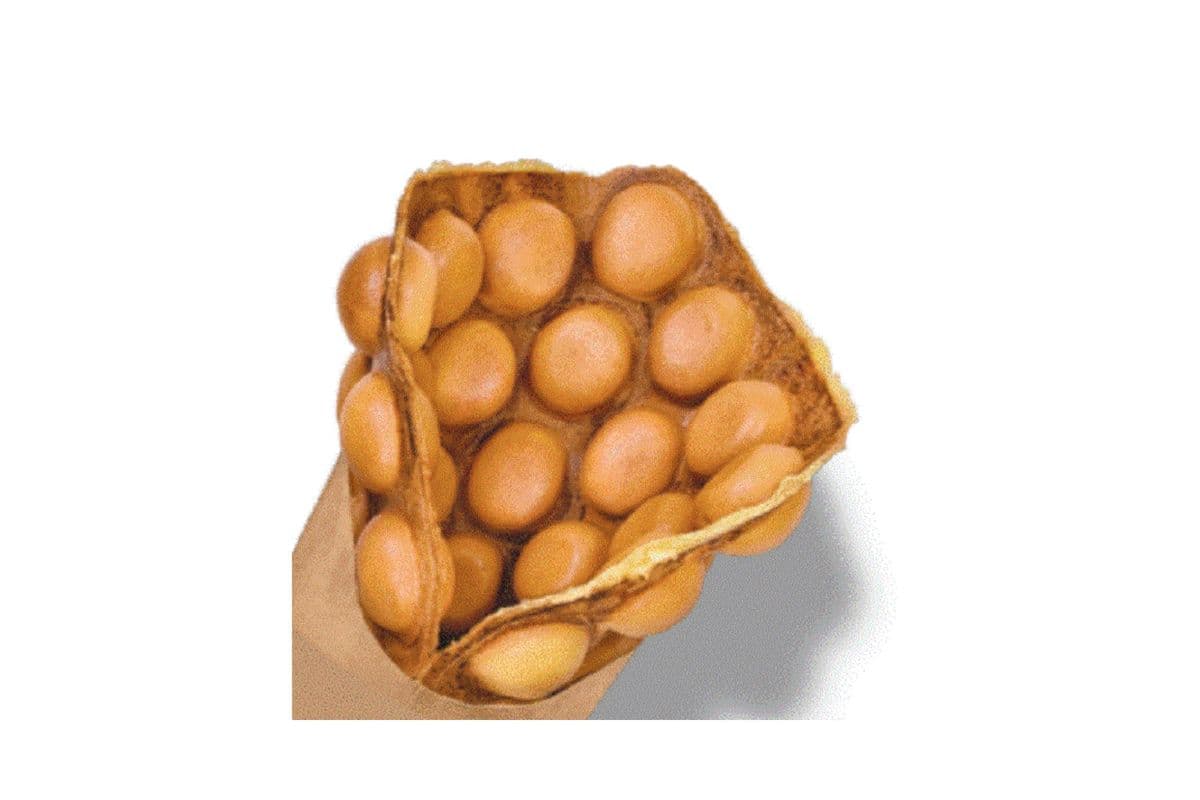 Original Bubble Waffle