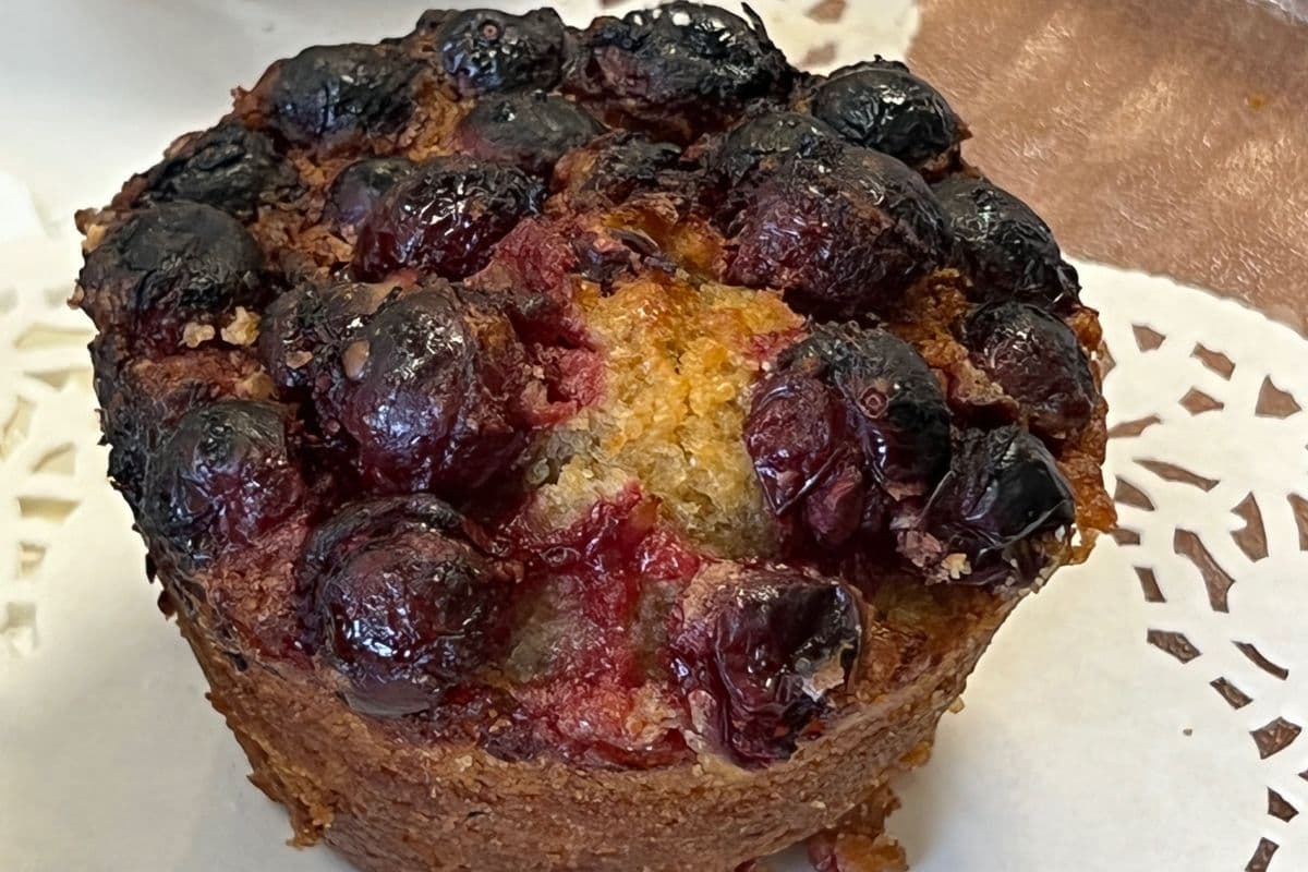 Cranberry Muffin