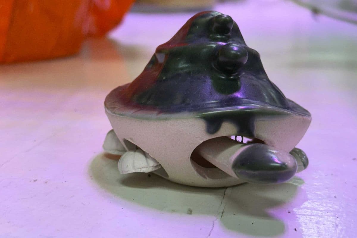 Feng Shui Ceramic Tortoise Family