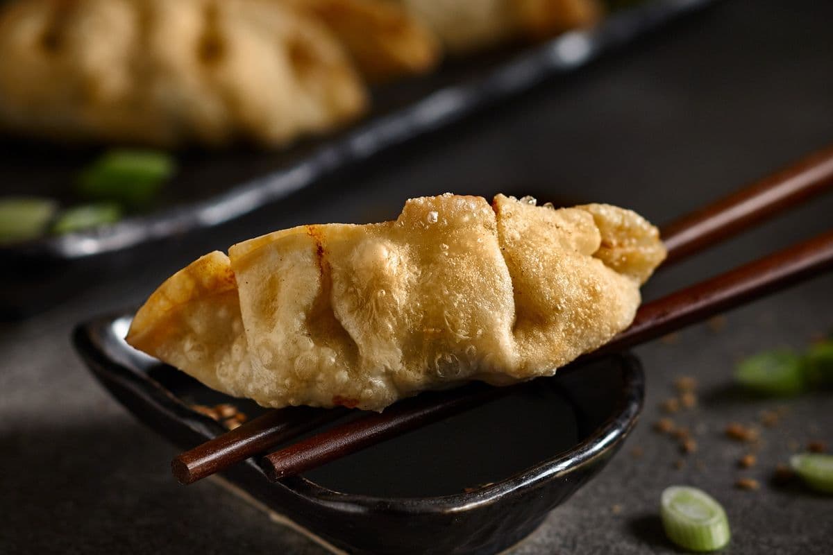2. Chicken Dumplings (2)
