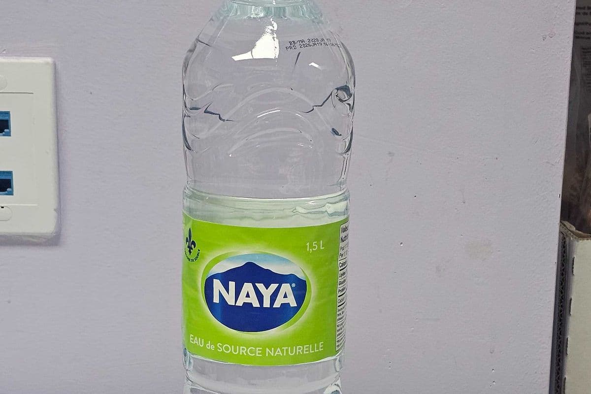 Naya Natural Spring Water (1.5 L)