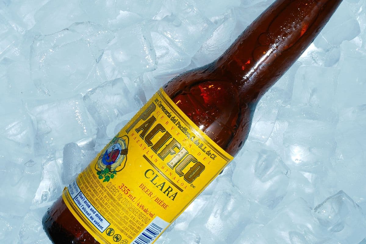 Pacifico (1 x 355 ml)