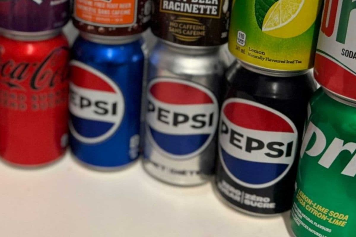 Pepsi can (355ml)