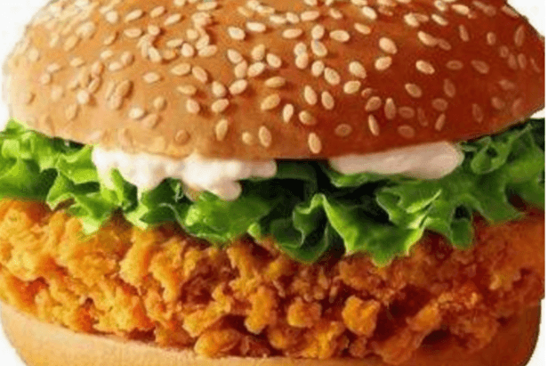 Chicken Burger Combo