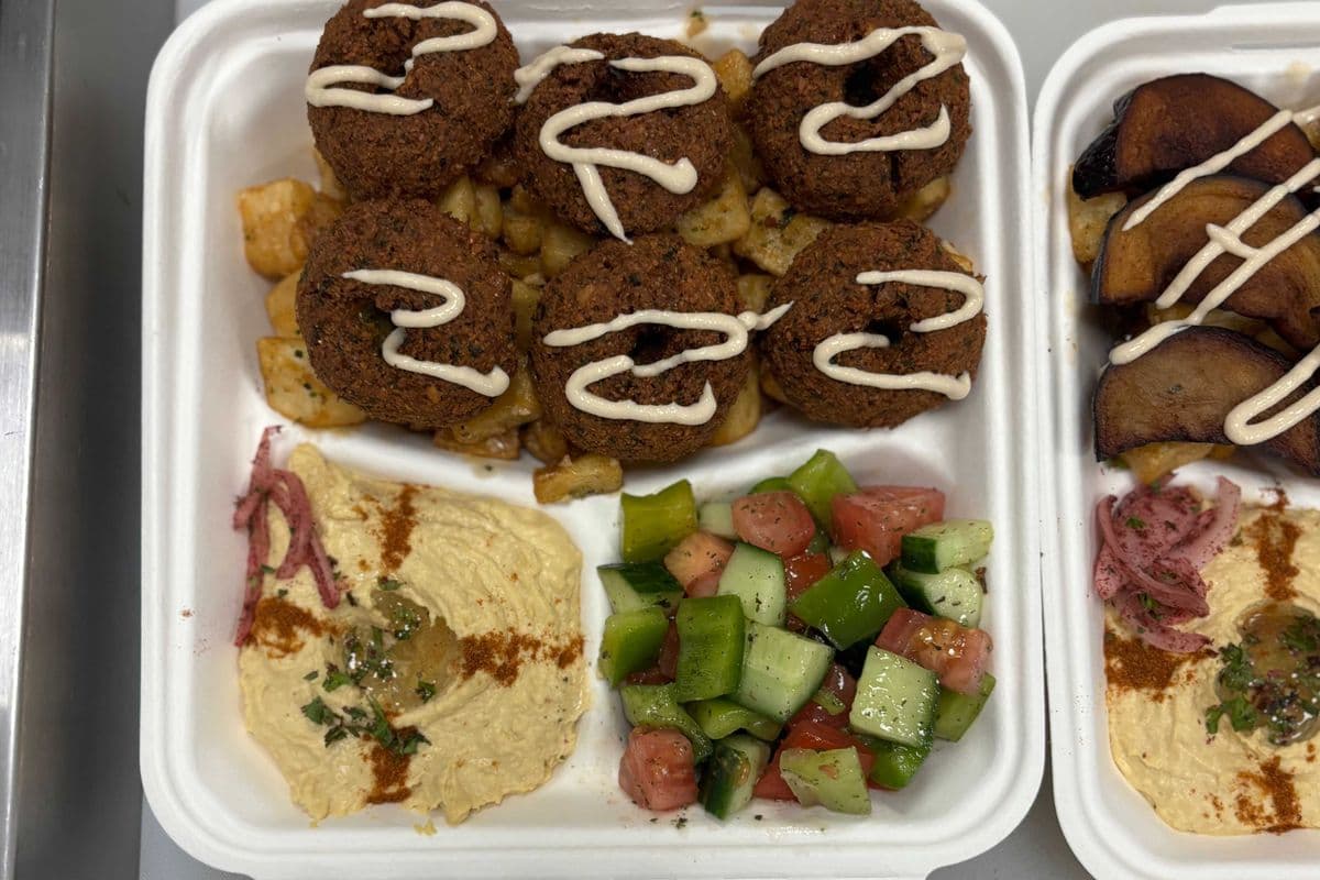 Falafel Plate (4 pcs)-Lunch size (6 pcs)-Dinner Size