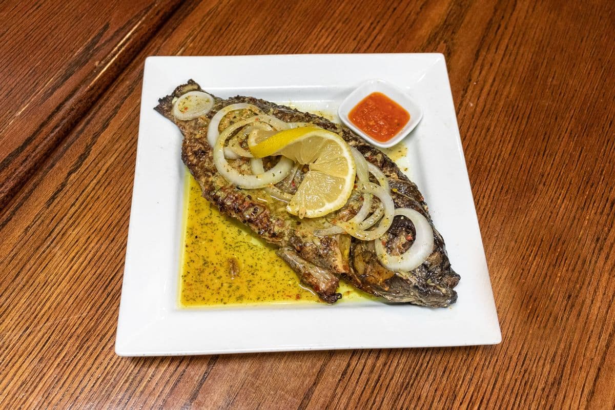 Tilapia