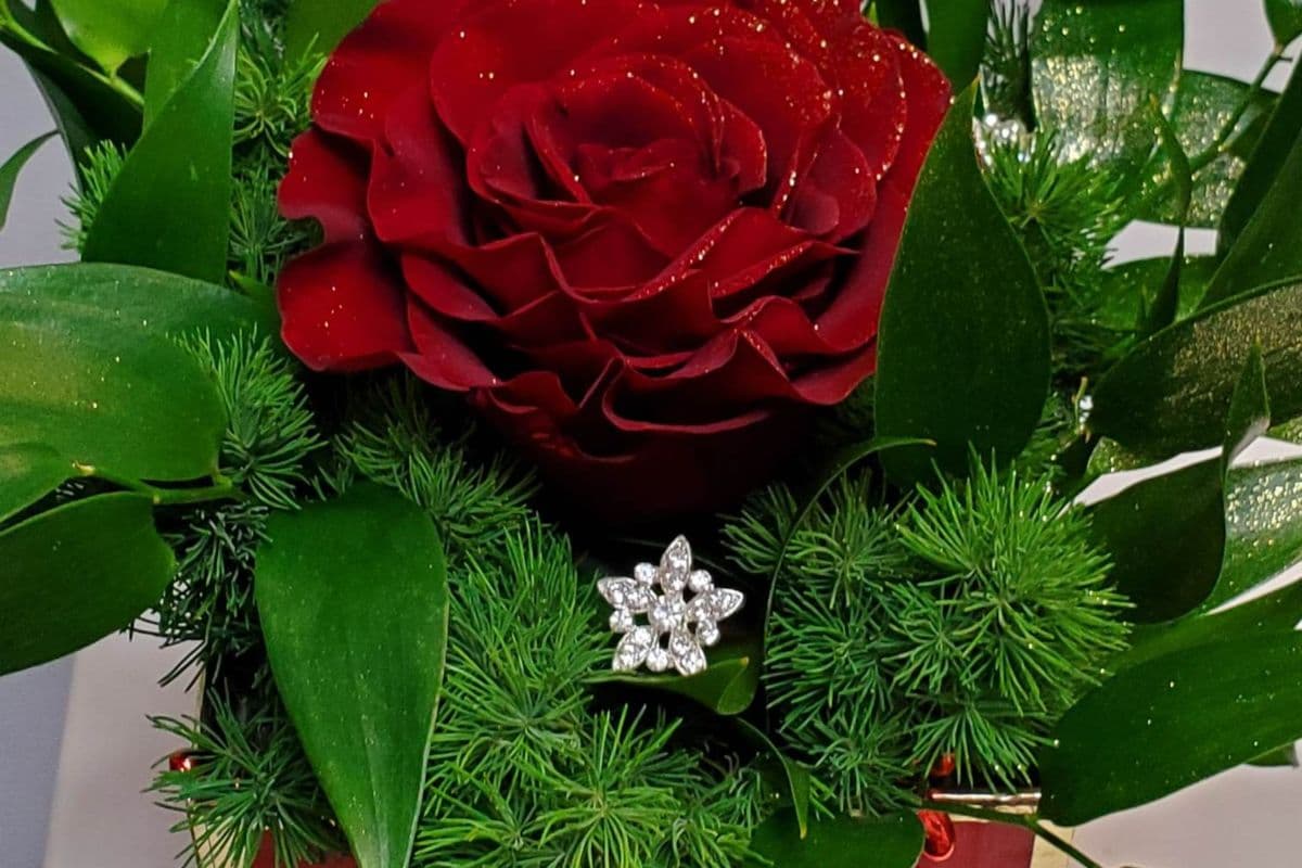 One Rose