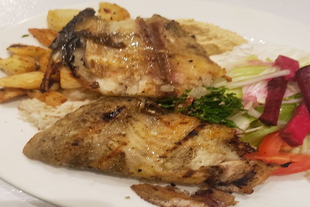 FISH PLATE
