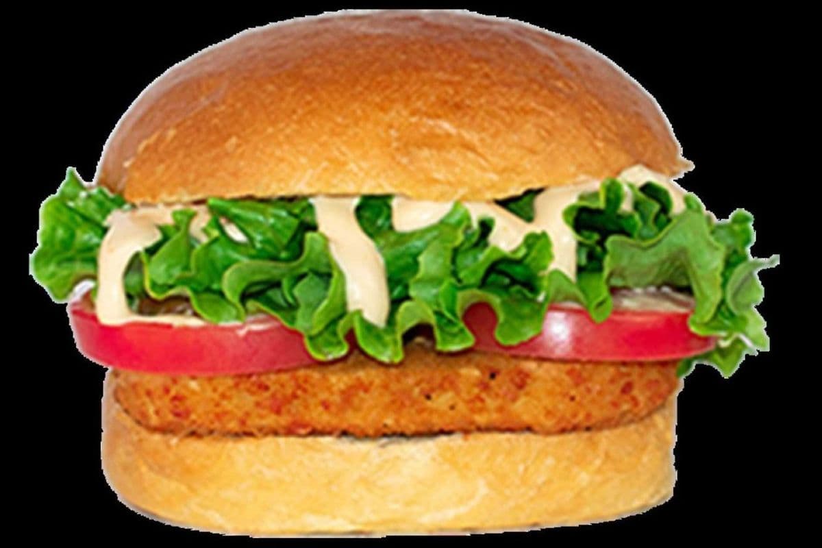 Beyond Crispy Chicken Burger Combo