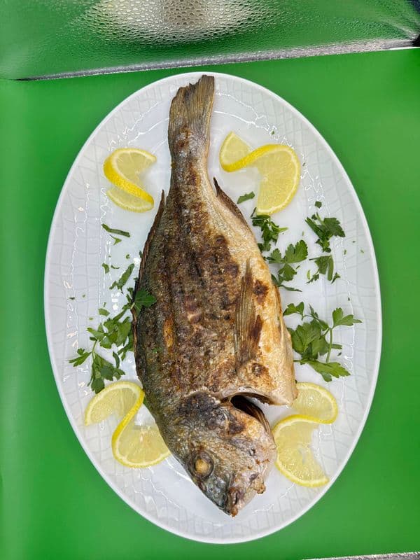 Fish Seabream