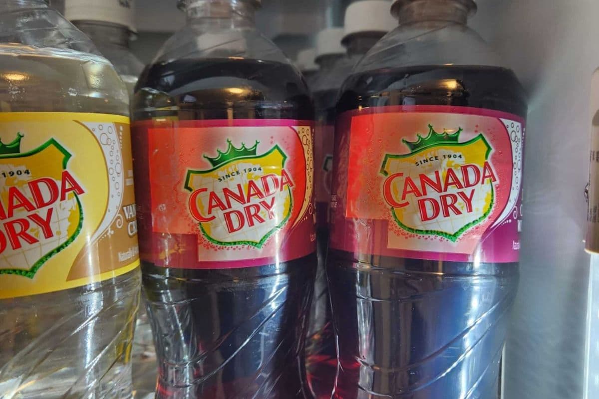 Canada Dry Black Cherry (500ml)