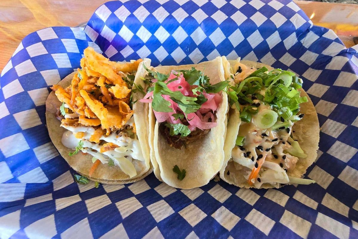 Taco Bundle - 3 Pack