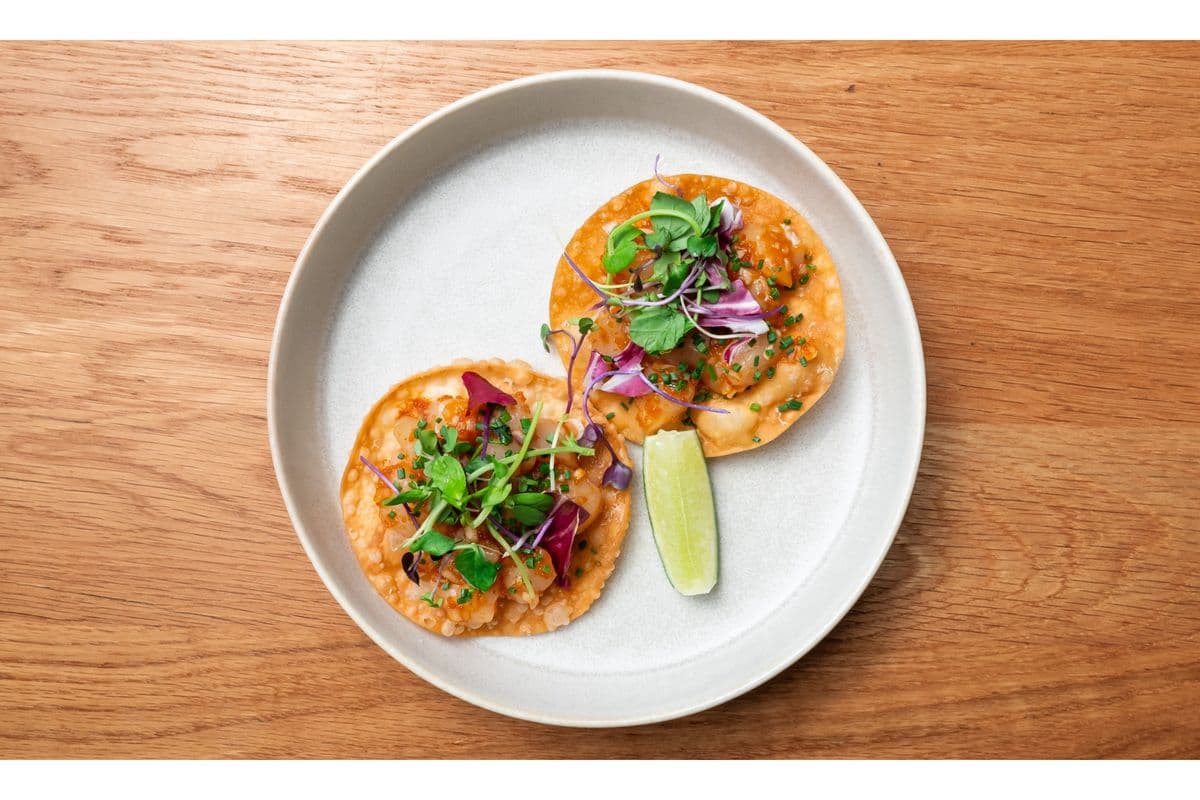 Crispy Hotate Gyoza Tostada