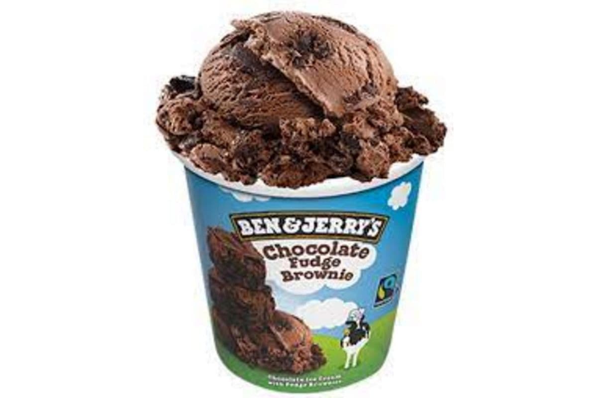 Chocolate Fudge Brownie