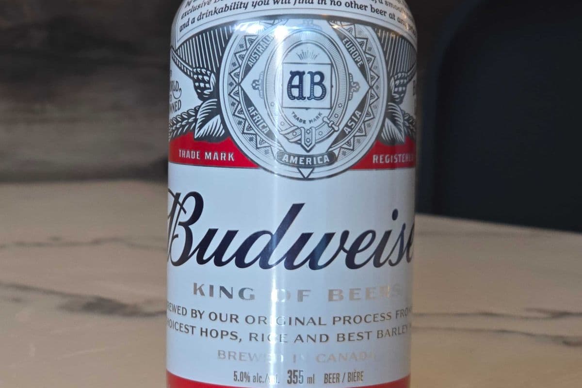 Budweiser (1 x 355 ml can)