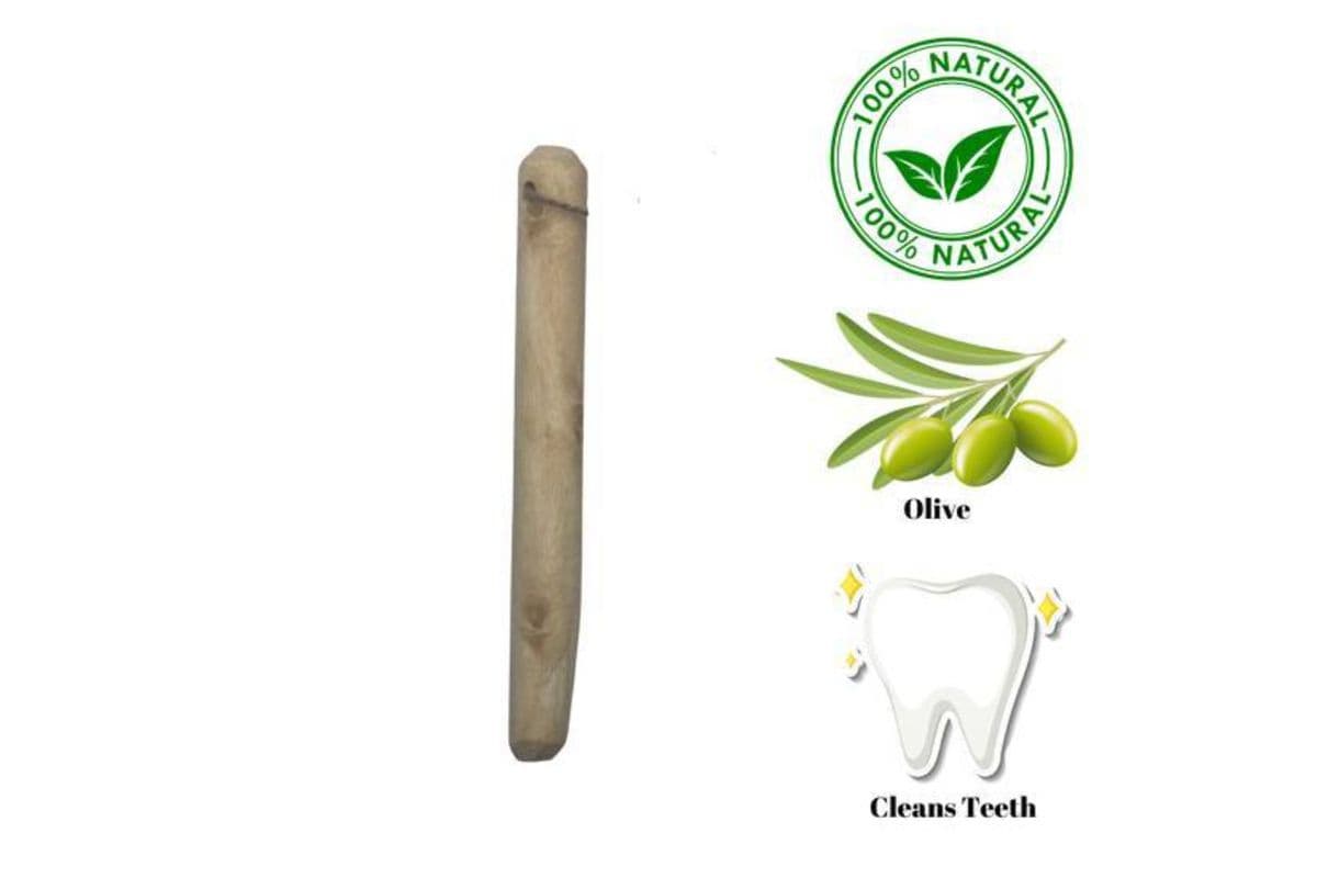 Zaytoon - Olive Wood Dog Chew - Extra Small