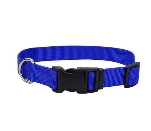 Coastal Adjustable Nylon Collar with Tuff Buckle Blue