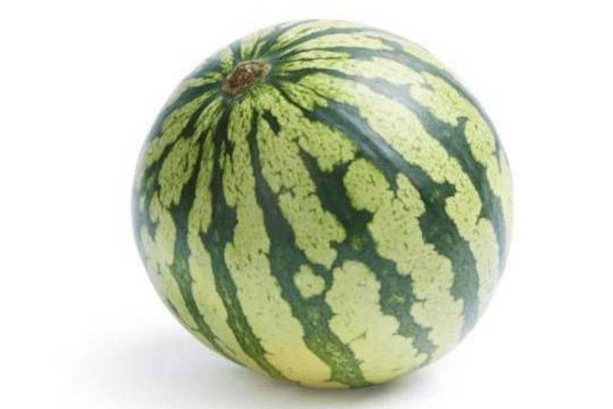 Watermelon(1 Unit)