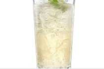 101. Fresh Iced Lime Soda