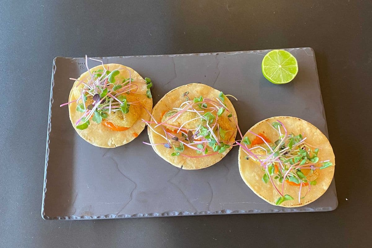 CRISPY AVOCADO TACOS