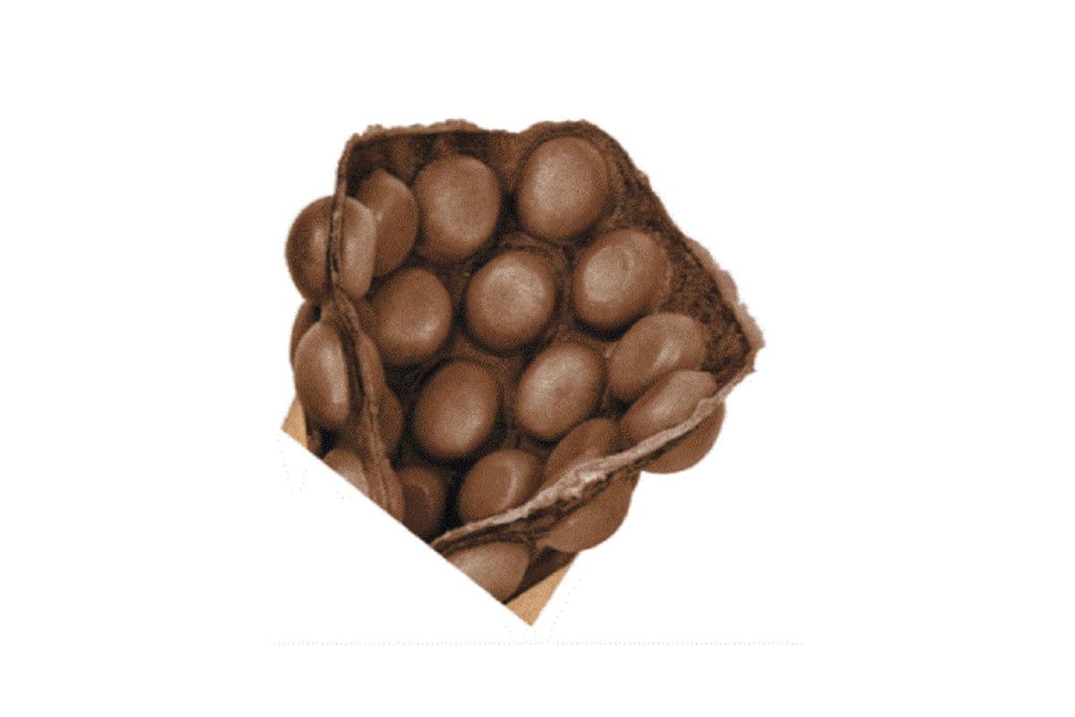 Chocolate Bubble Waffle
