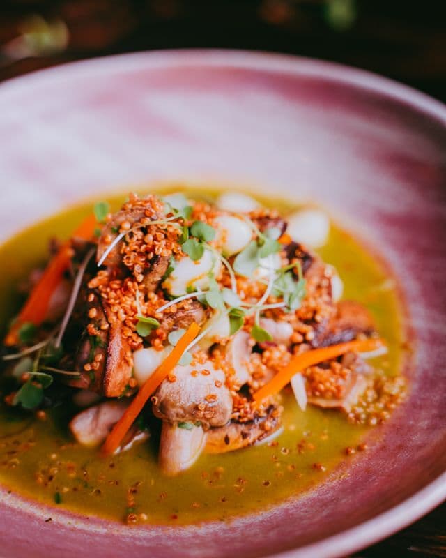 Ceviche de Hongos