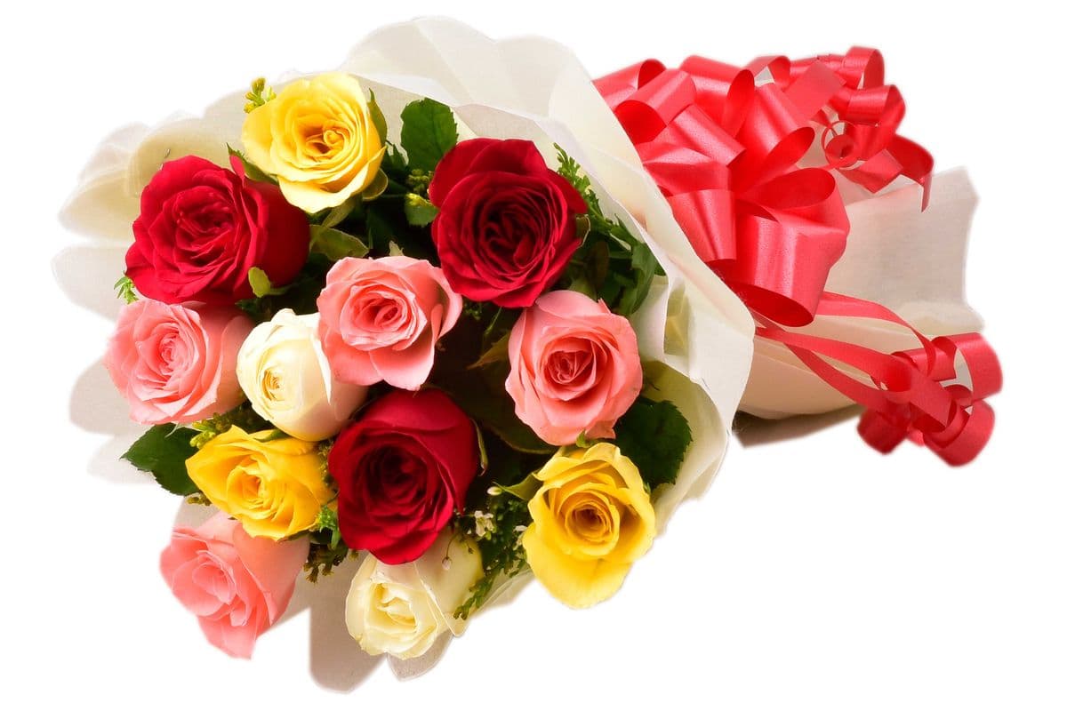 12 Assorted Colour Roses