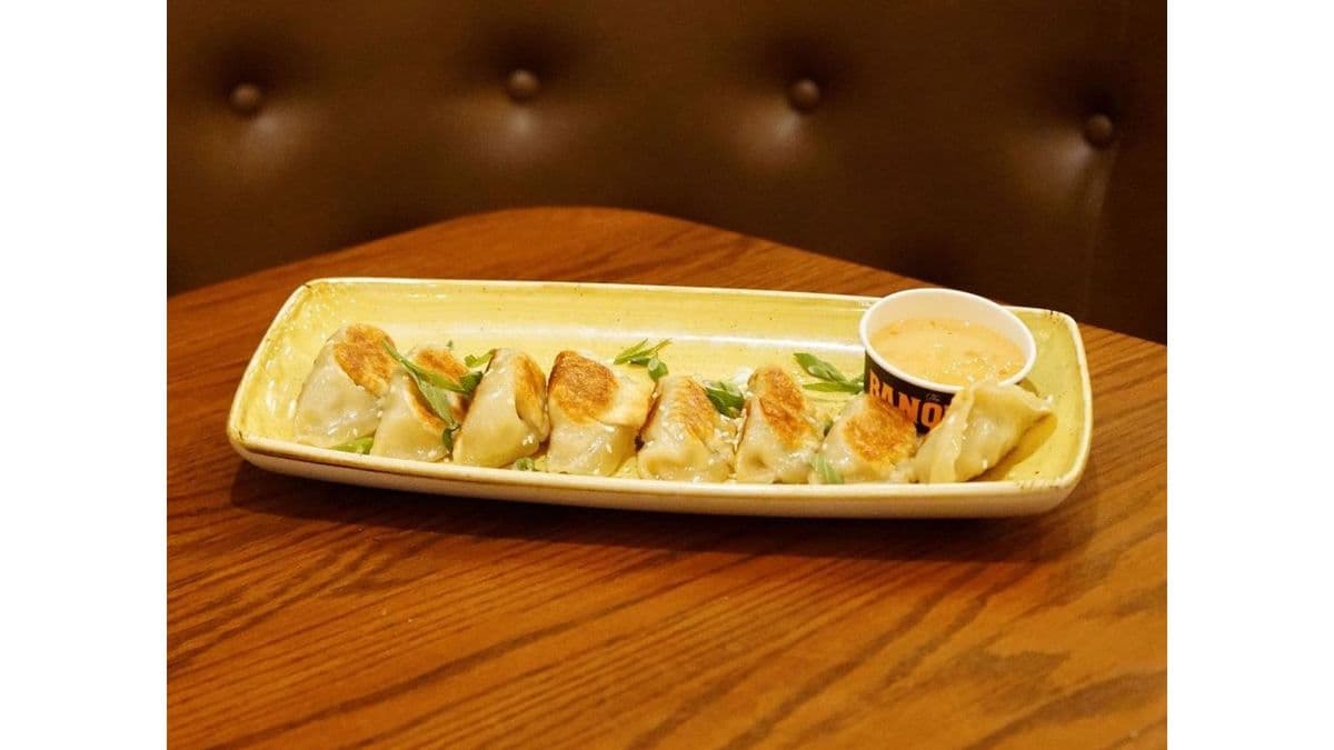 Chicken & Vegetable Gyoza