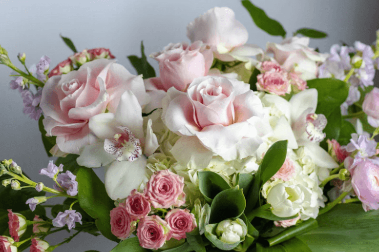 Nuage Rose / Pink Cloud