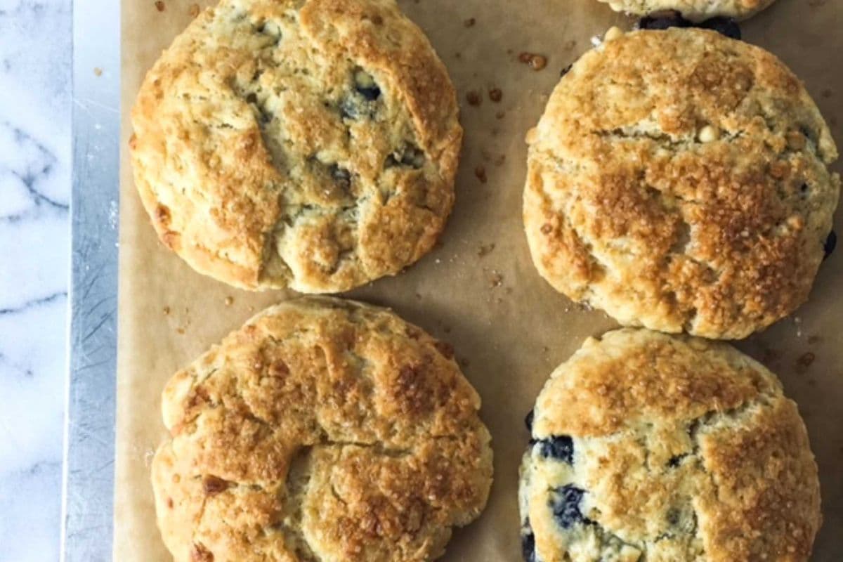 Blueberry White Chocolate Scones (large)