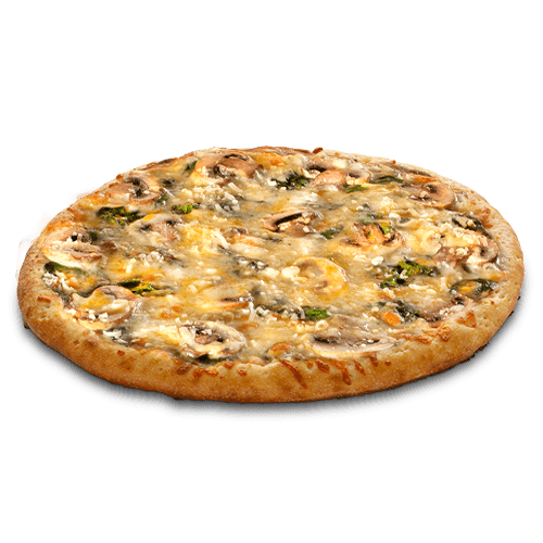 PETITE Florentine aux Champignons Crémeux