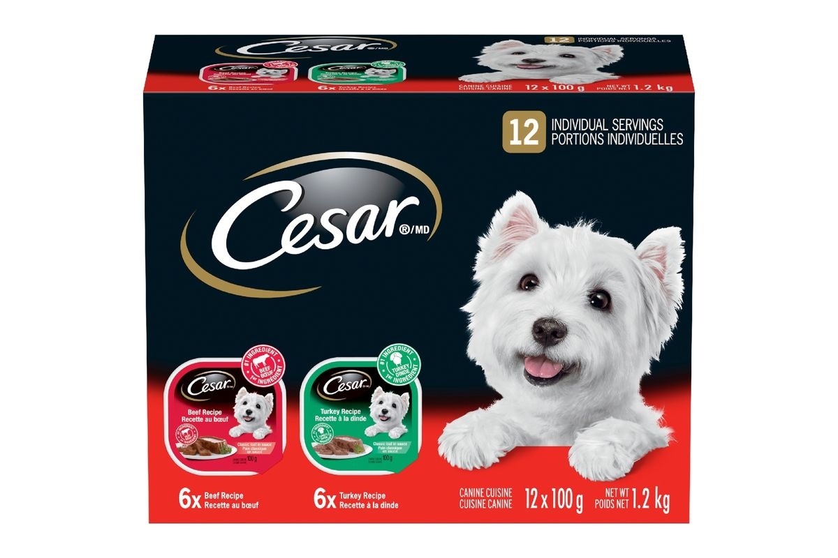 Cesar Multi-Pack Wet Dog Food