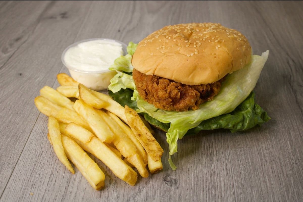 Chicken burger with fries