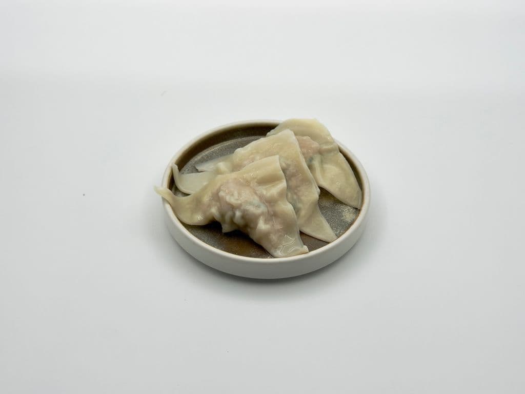 Chicken Wonton