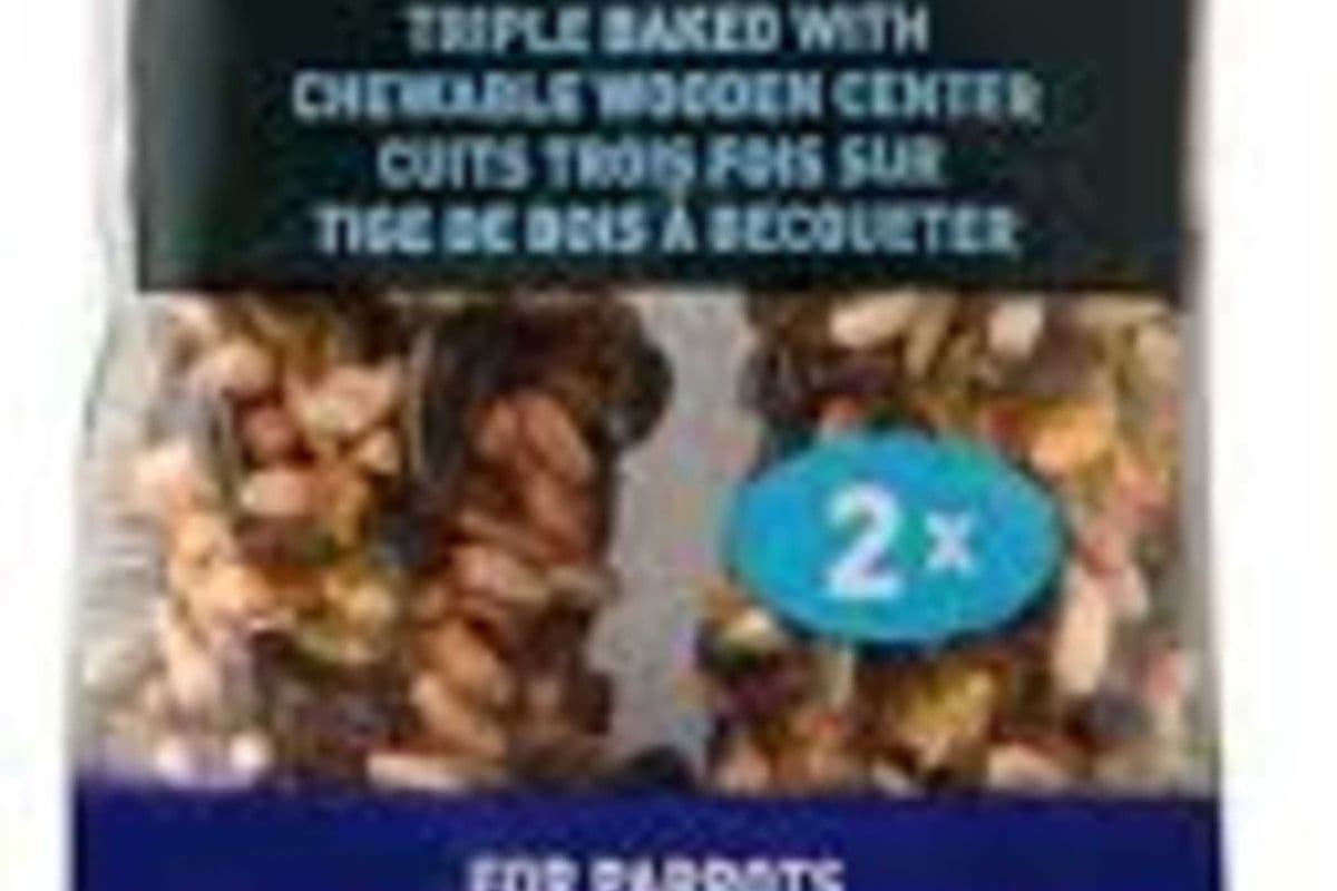 Living World Honey Flavoured Seed Stick for Parrots (5 oz)