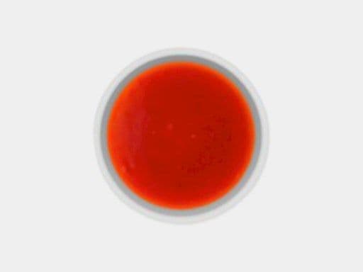 Sauce fruitée / Fruit Sauce