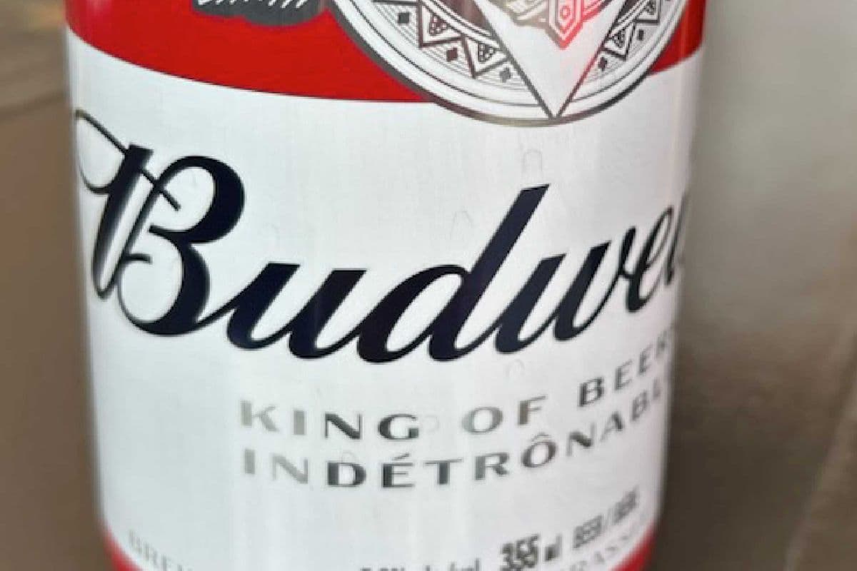 Budwiser 355 ml can