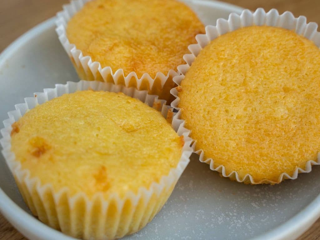 Corn Bread (3)