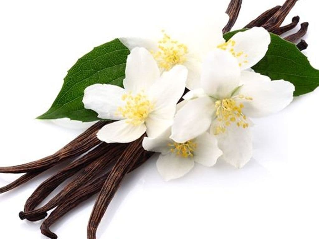 VANILLA