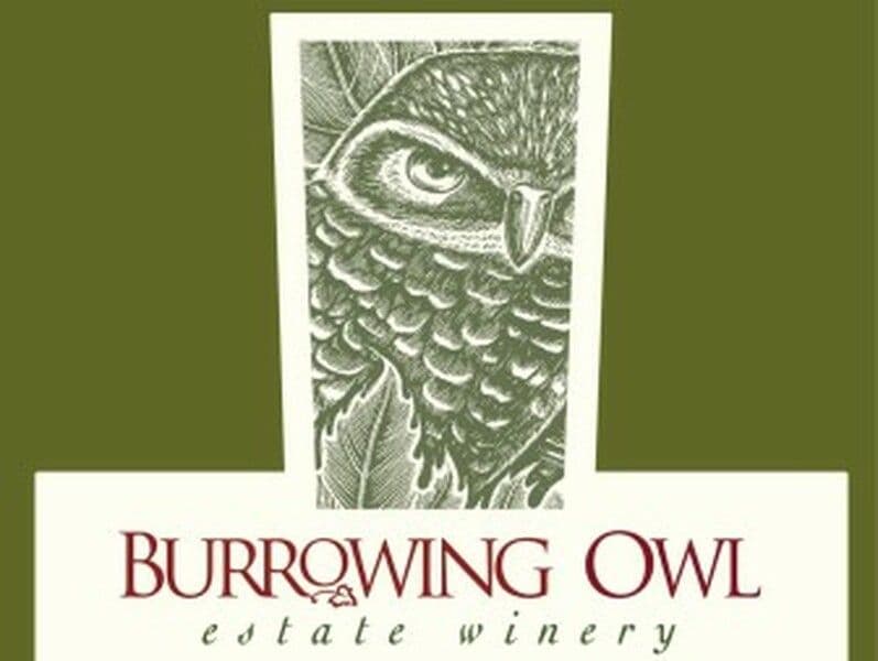 BURROWING OWL Syrah