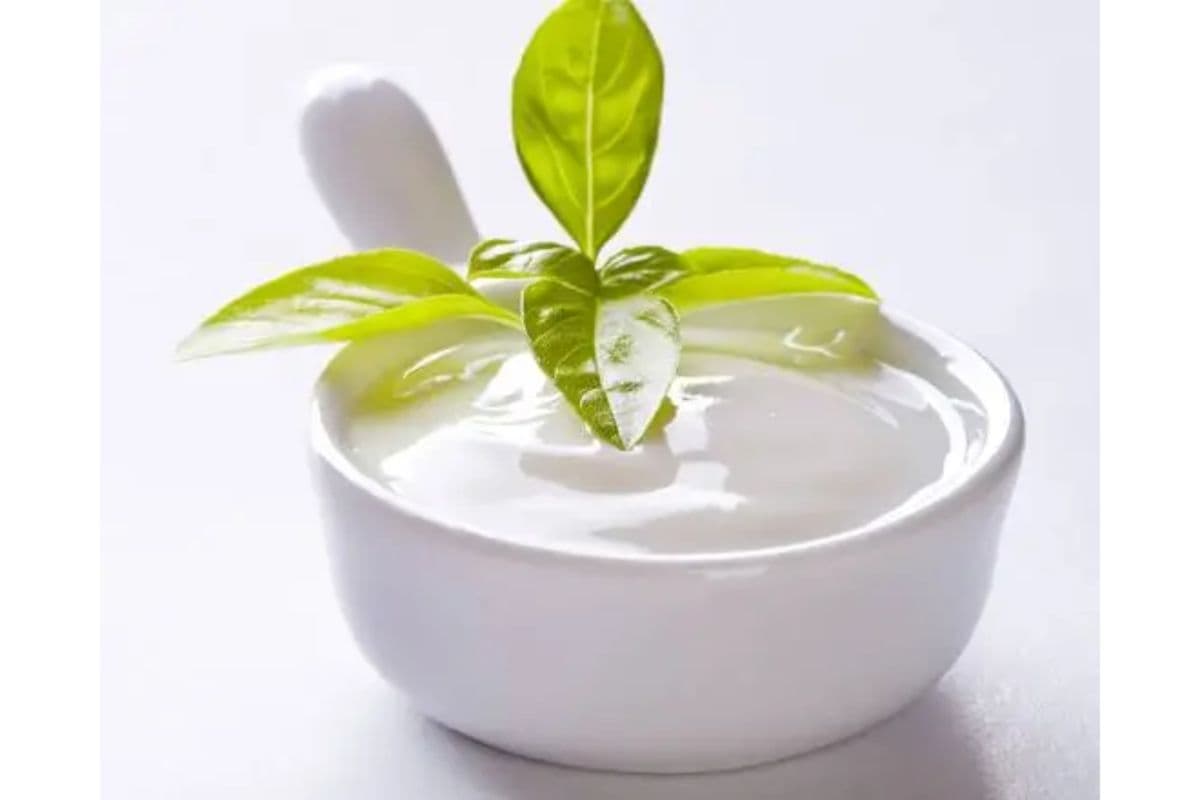 Garlic Sauce