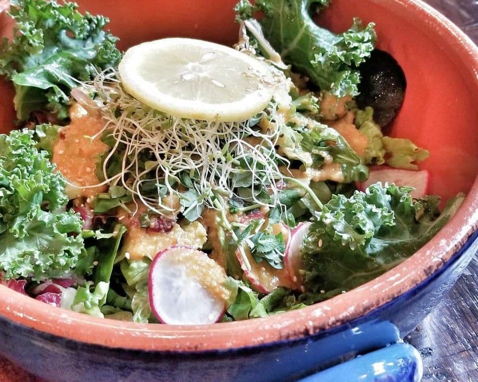 Garden Salad