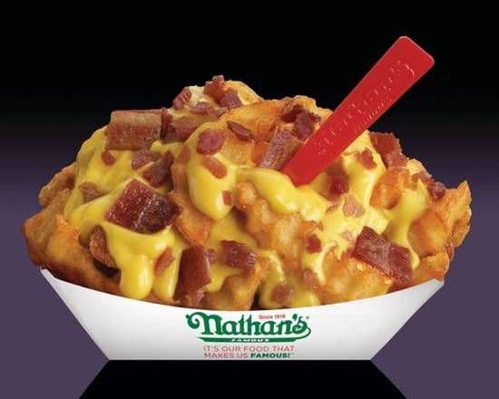 Large Bacon Cheese Fries