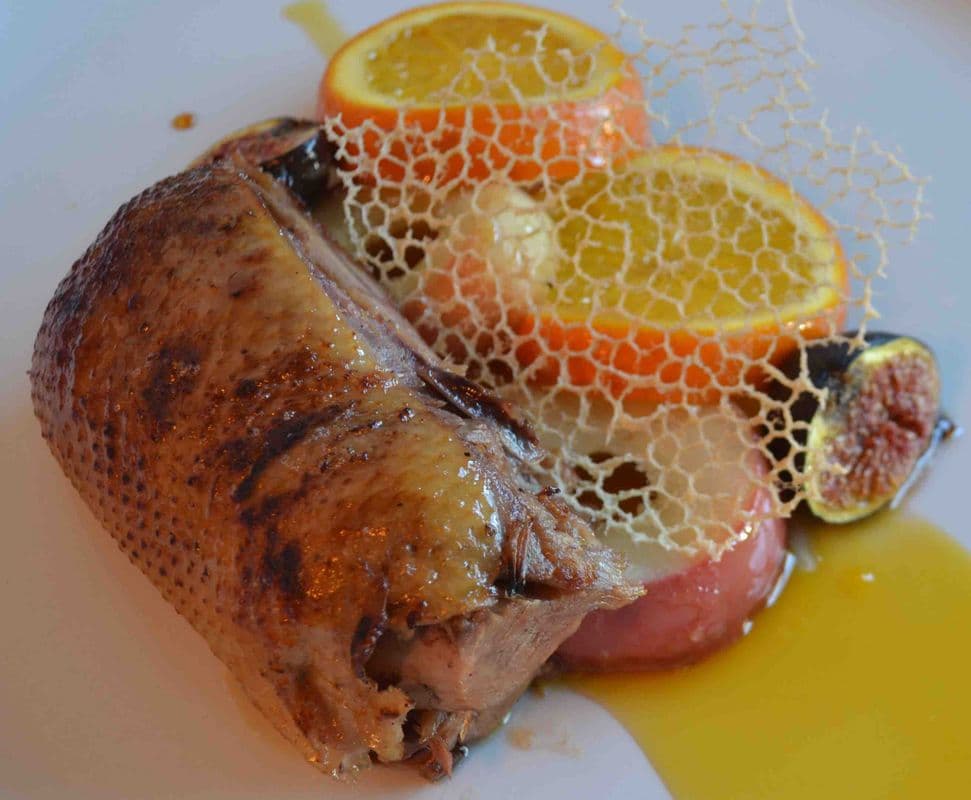 Duck